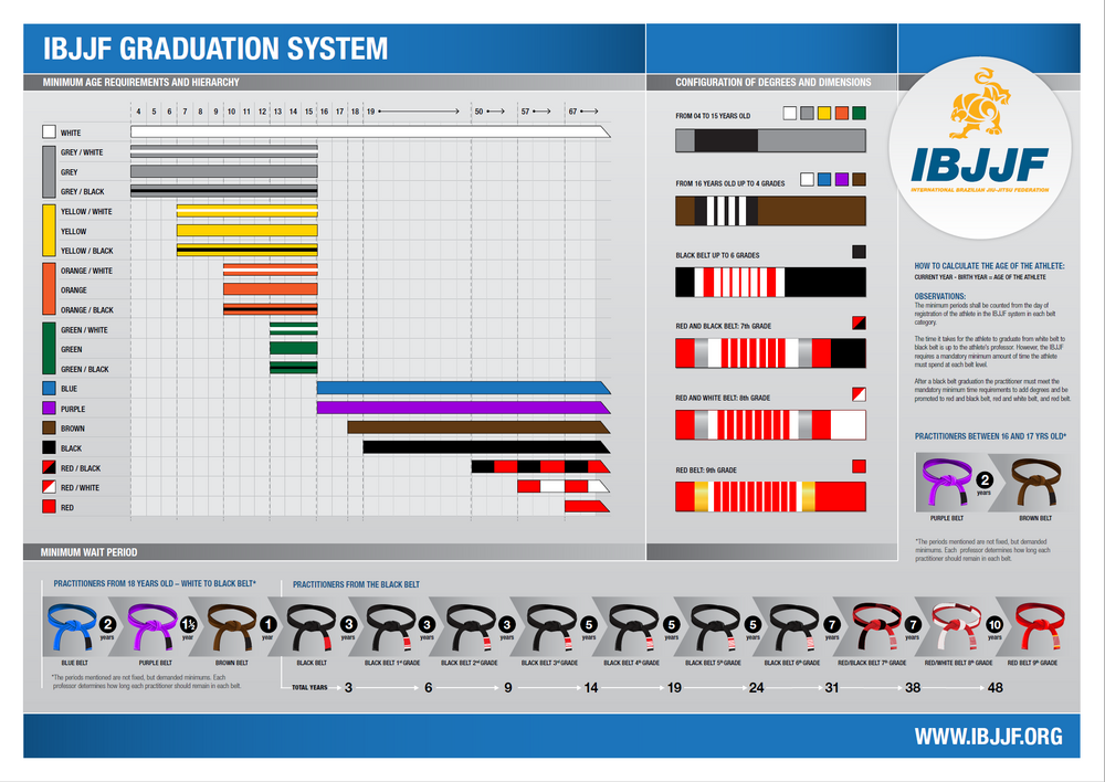 Breaking Down The IBJJF Graduation System - Vulkan International Inc