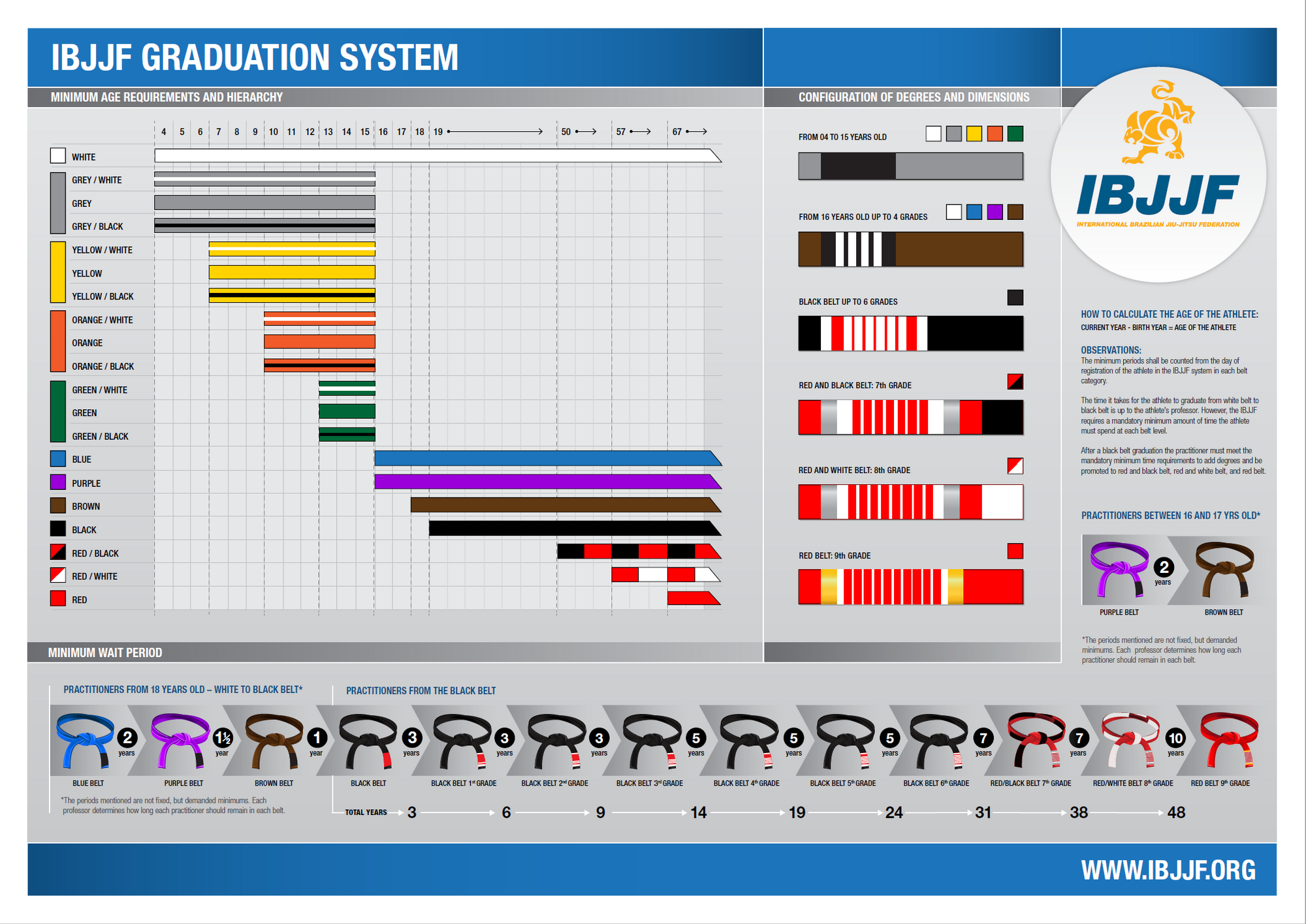 Breaking Down The IBJJF Graduation System